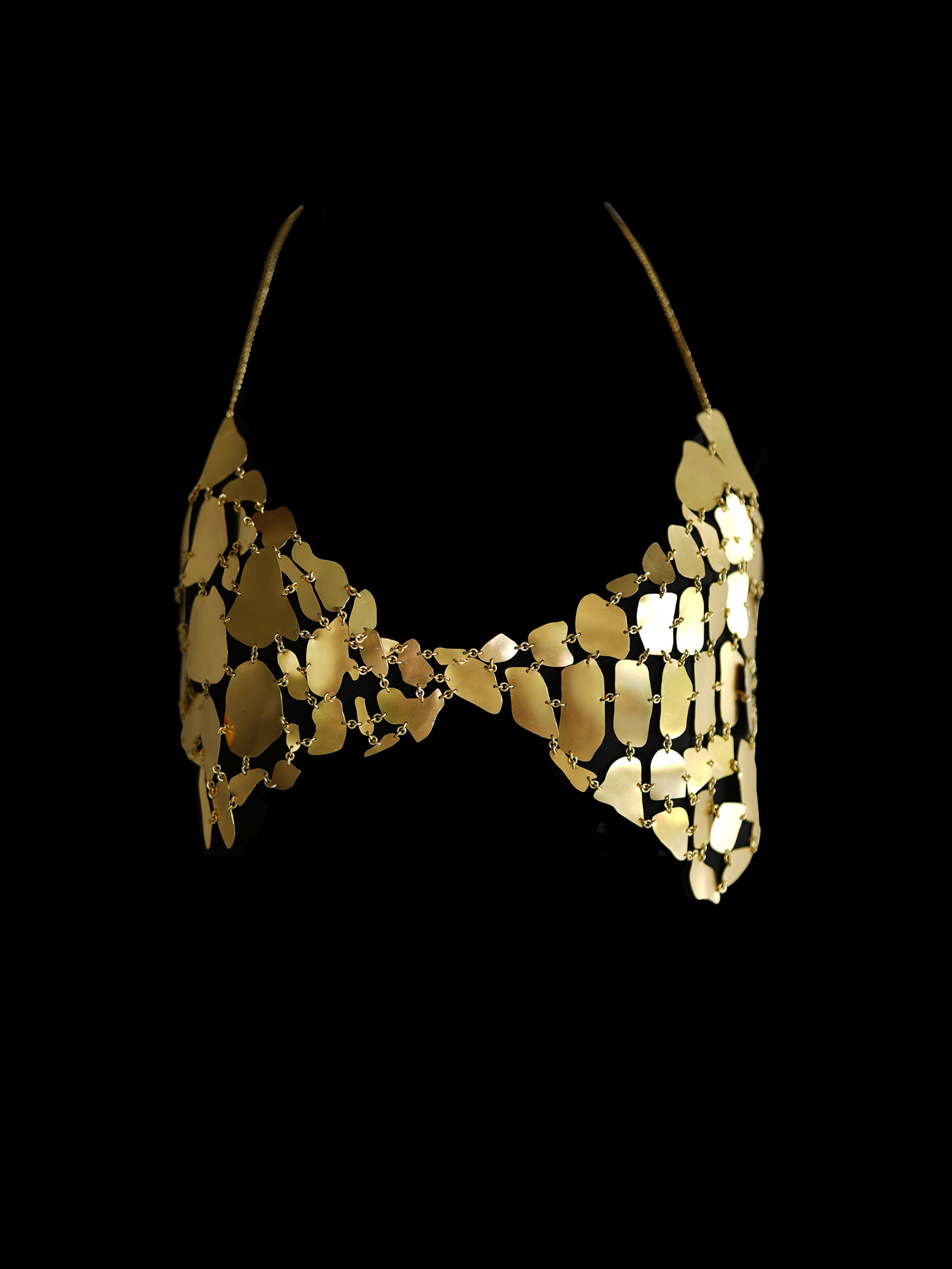 Rhia Croc Gold Tone Chain Mail Bralette