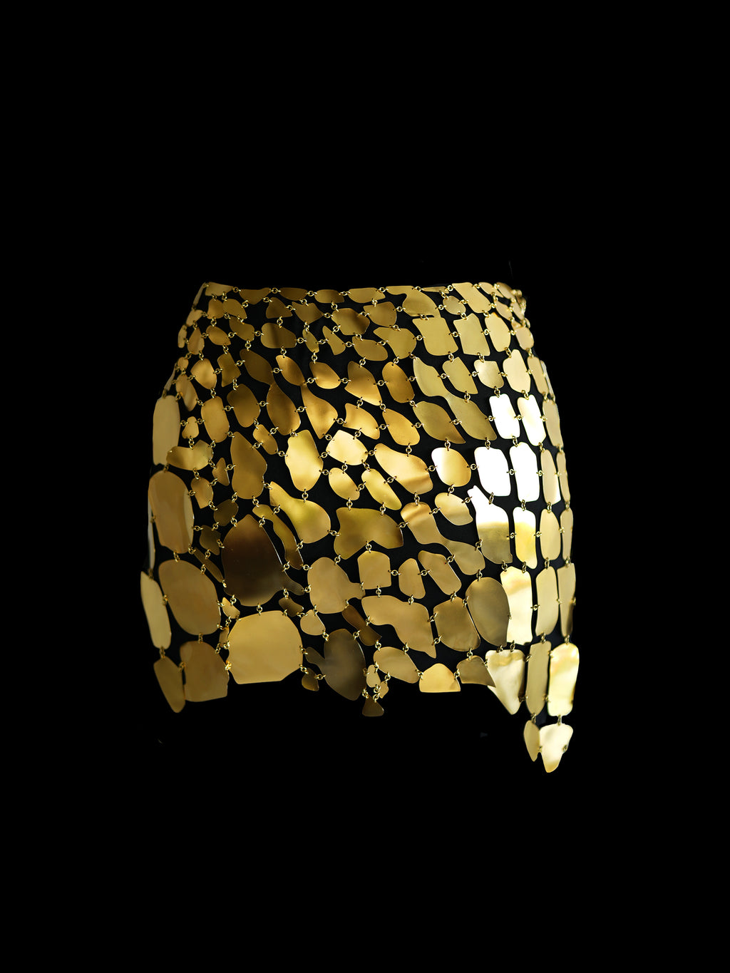 Rhia Croc Gold Tone Chain Mail Skirt