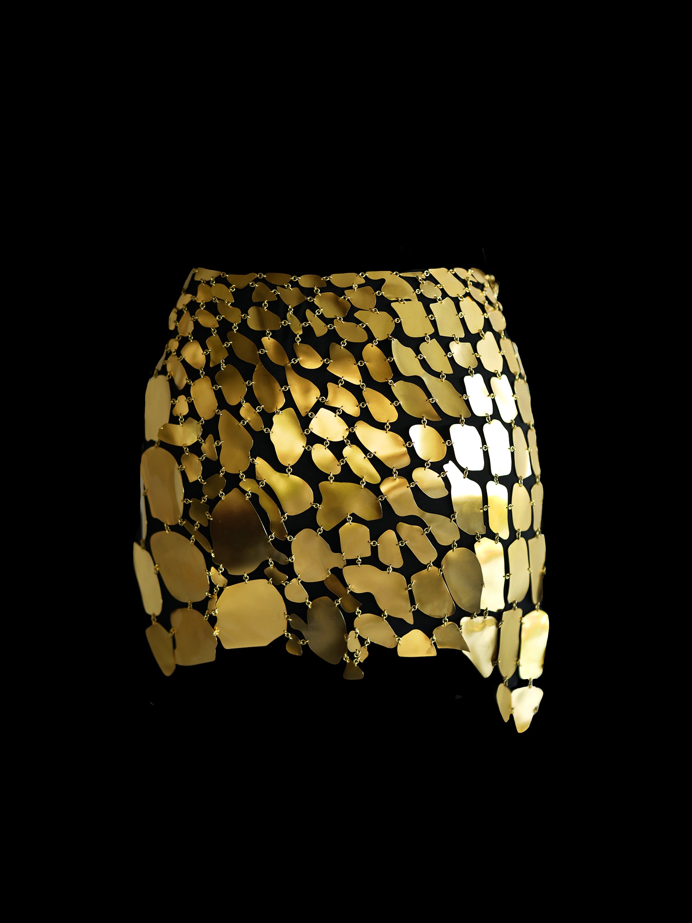 Rhia Croc Gold Tone Chain Mail Skirt