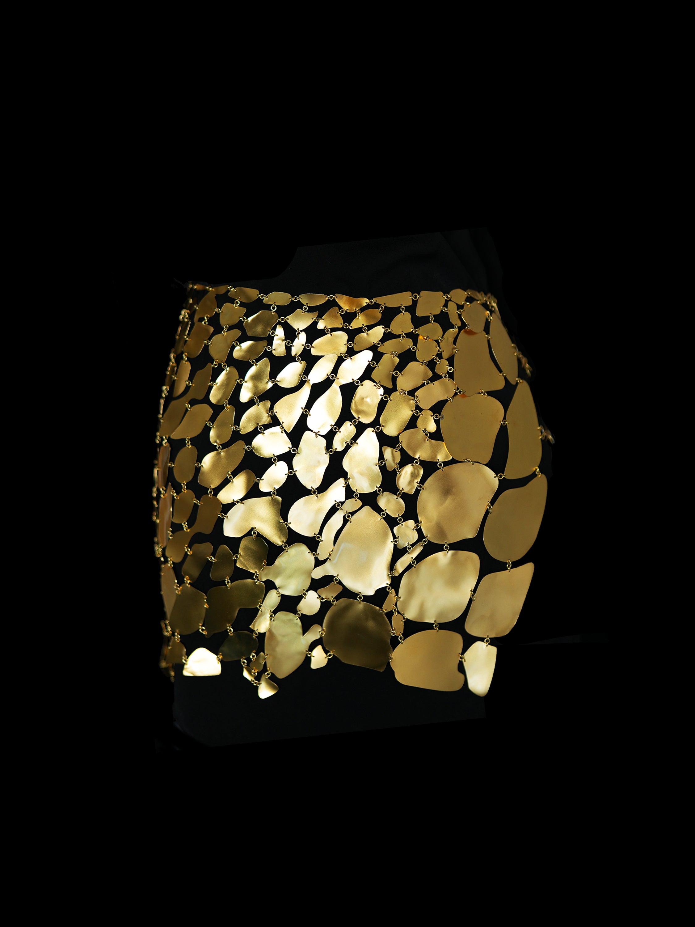 Rhia Croc Gold Tone Chain Mail Skirt